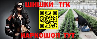 a pvp Можга