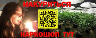 a pvp Можга