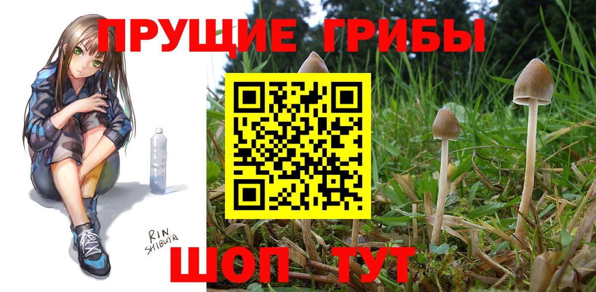 Ростов Великий  Галлюциногенные грибы Cubensis  Вход с VPN  Галлюциногенные грибы мухоморы 